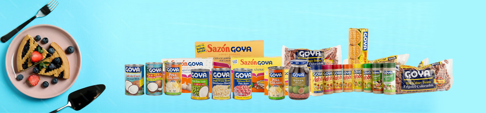 SLIDER-GOYA-OK