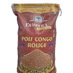 SAC POIS CONGO